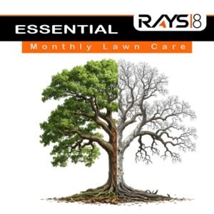 Essential - Monthly Lawn Care