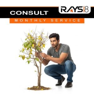 Consult - Monthly Service